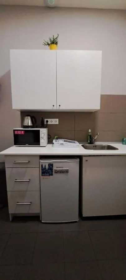 Studio 4 Apartment In The Party District Budapest